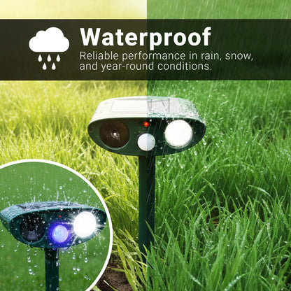 Woodpecker Fortress Pro