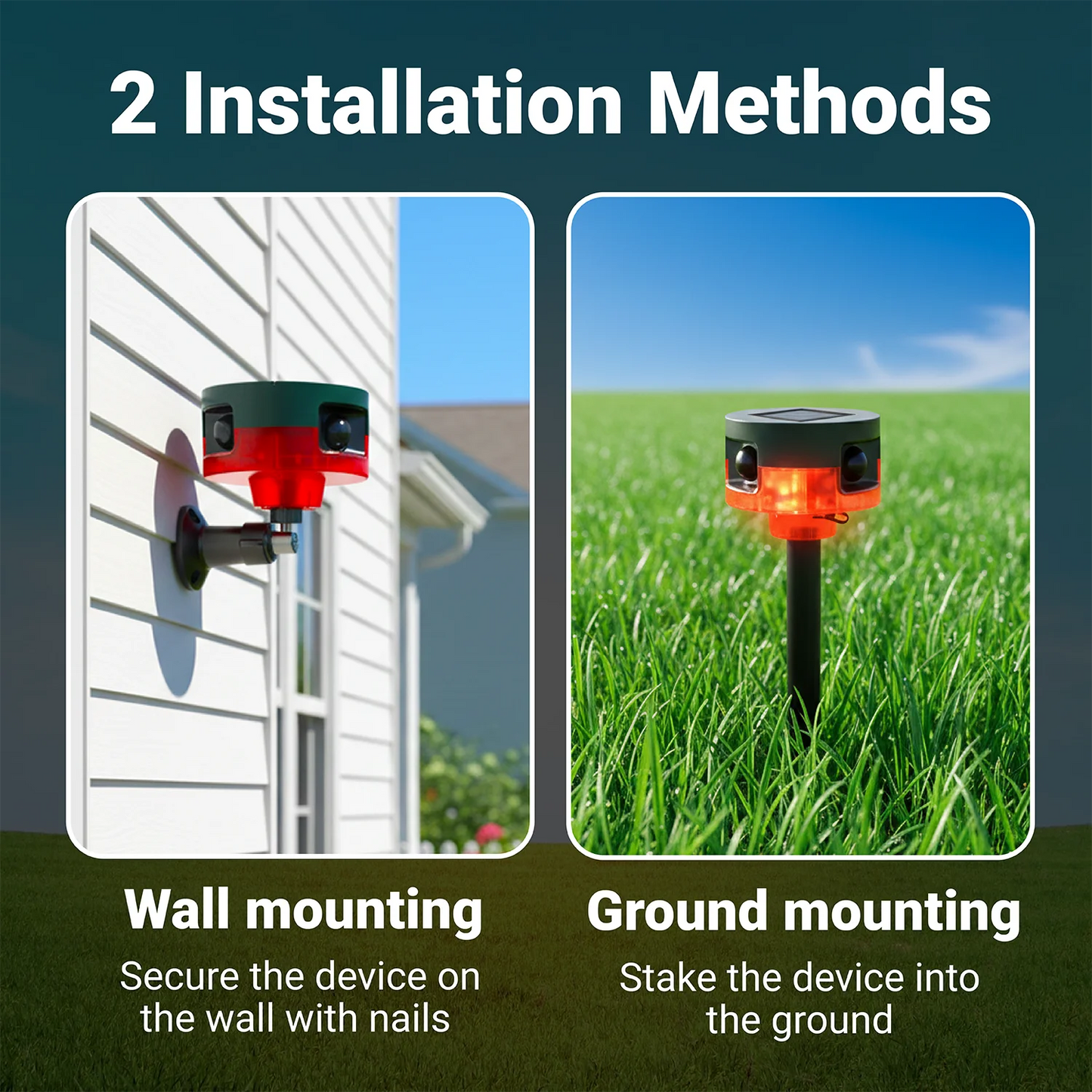 Woodpecker Fortress Strobe Light
